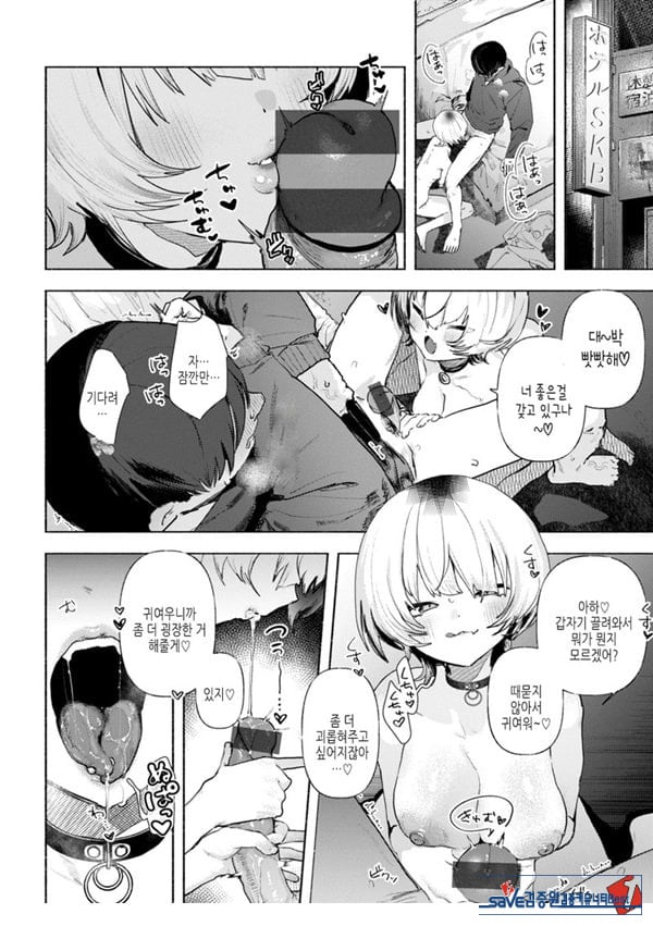 들고양이