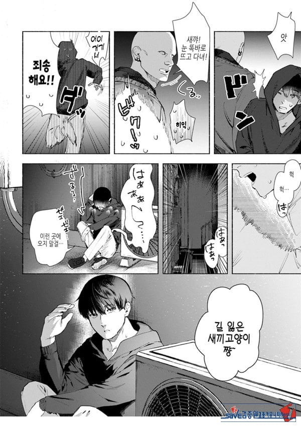 들고양이
