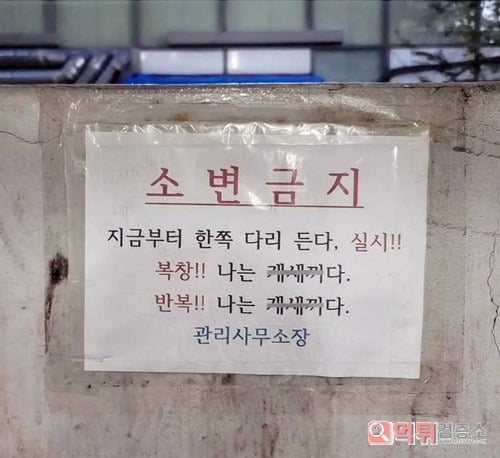 고대 경고문