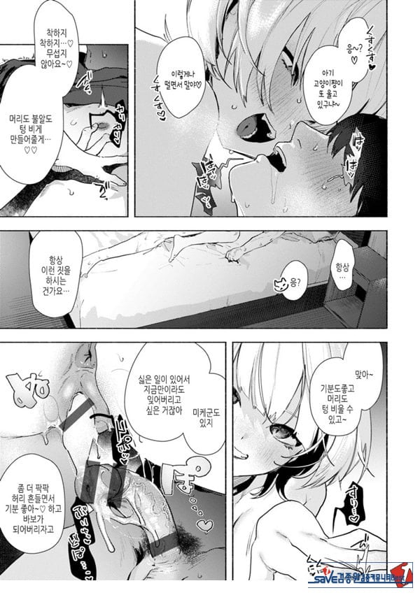 들고양이