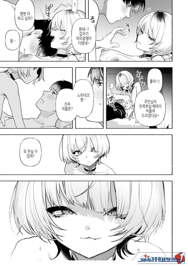 들고양이