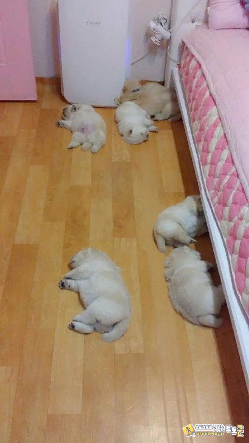 출근할때 보일러를 키고 나오면