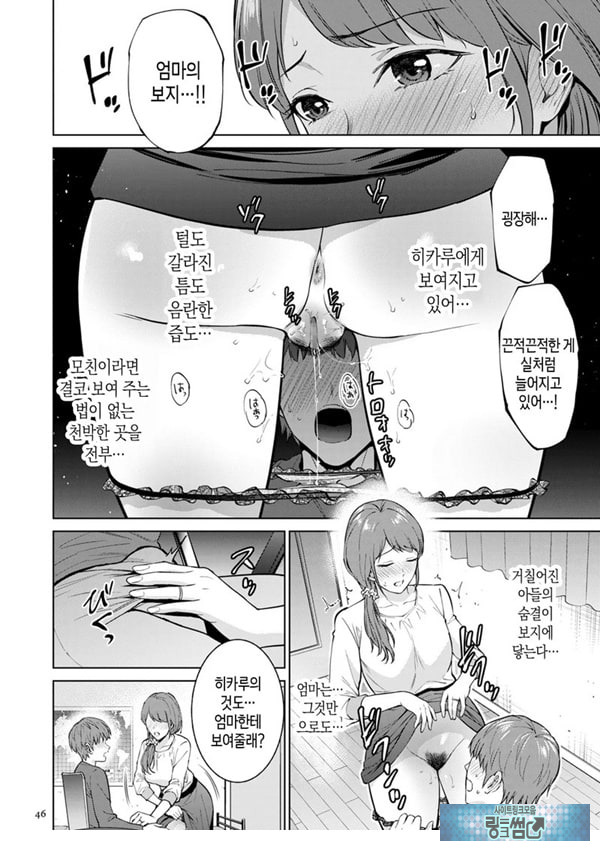 히키코모리 돌보기