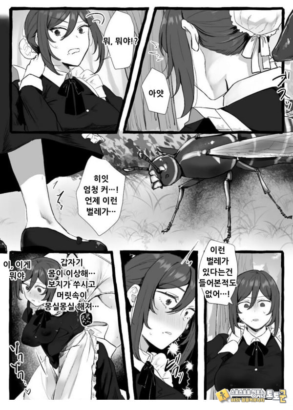 충간 메이드 충간 메이드