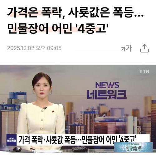 민물장어 근황