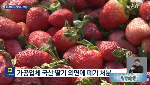 슈퍼에서는 비싸서 사기 고민되는데