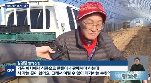 슈퍼에서는 비싸서 사기 고민되는데