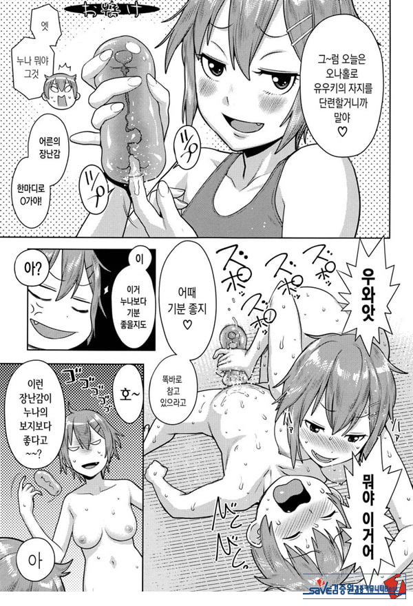 오네쇼타 레이프 ~야수로 변한 누나~