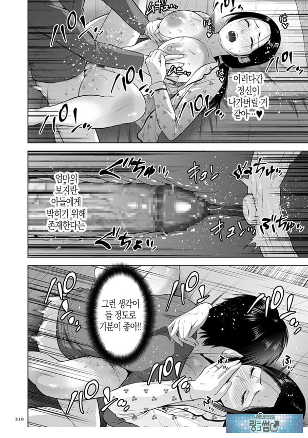전자 특장판 NTR 특별편