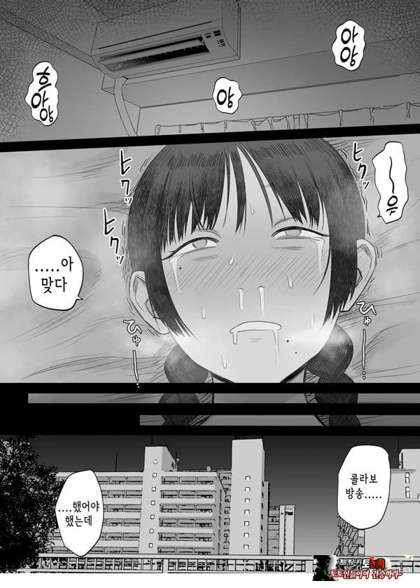Vtuber의 빨간약