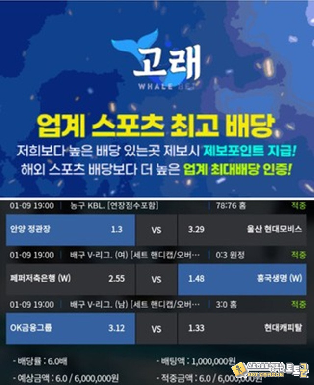 고래 먹튀제보