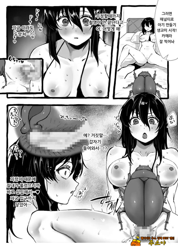 벌레씨와 함께