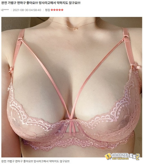 진정한 후기들