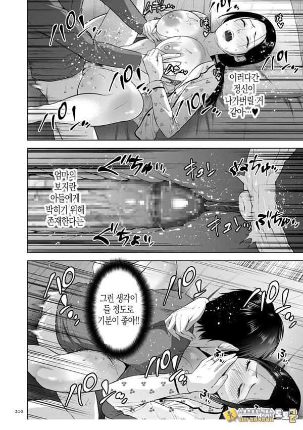 전자 특장판 NTR 특별편 전자 특장판 NTR 특별편