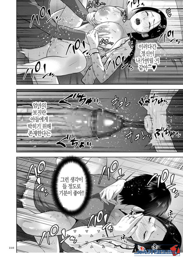 전자 특장판 NTR 특별편