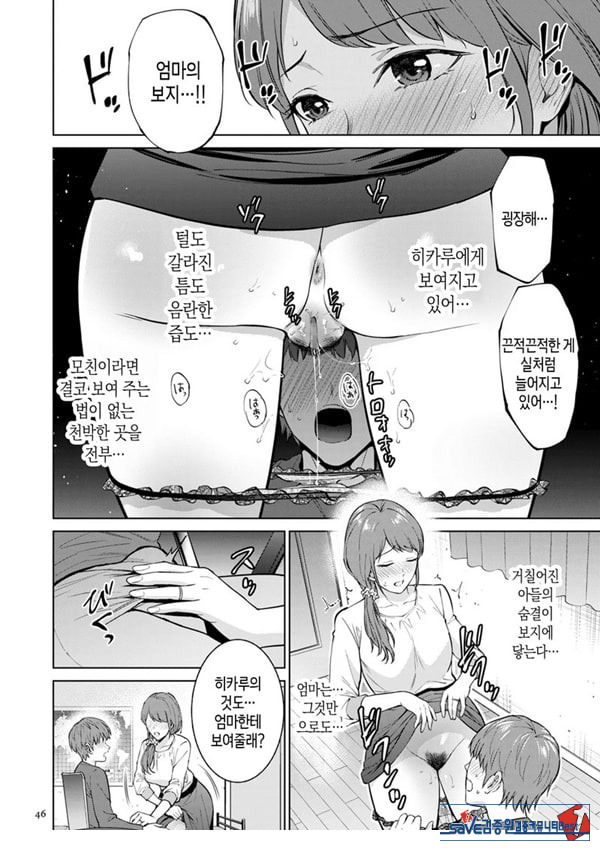 히키코모리 돌보기