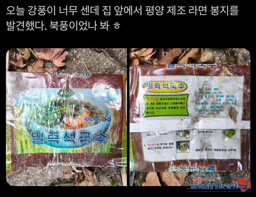 강풍이 몰고 온