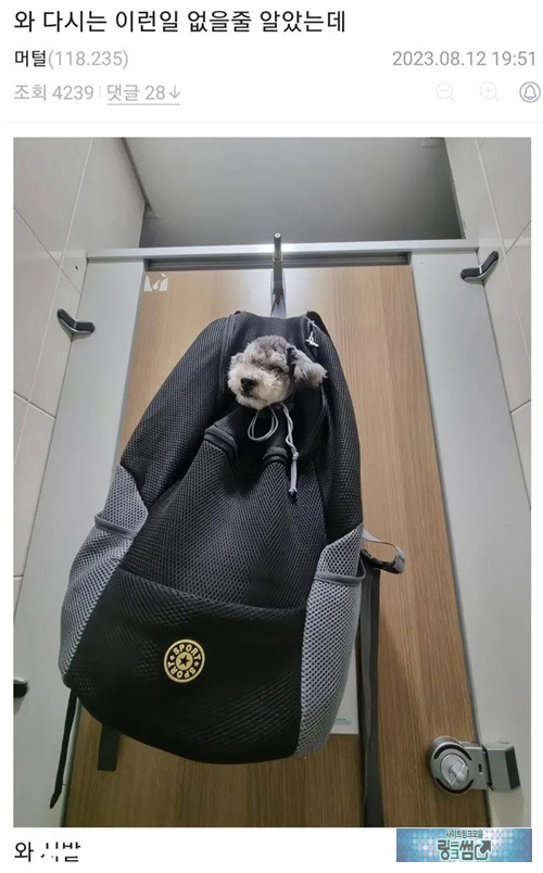 화장실이 급했던 견주