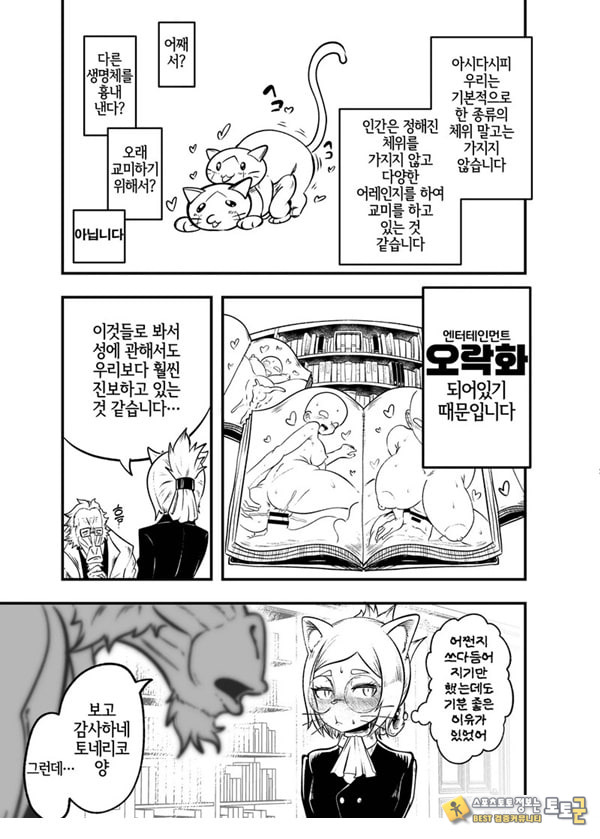 토네리코 보도관의 비밀보고서 토네리코 보도관의 비밀보고서
