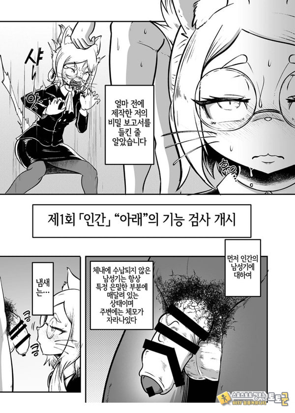 토네리코 보도관의 비밀보고서 토네리코 보도관의 비밀보고서