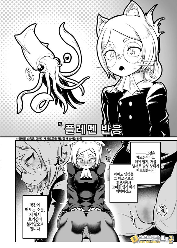 토네리코 보도관의 비밀보고서 토네리코 보도관의 비밀보고서