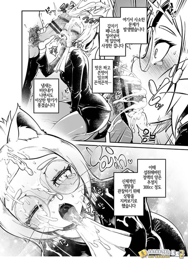 토네리코 보도관의 비밀보고서 토네리코 보도관의 비밀보고서