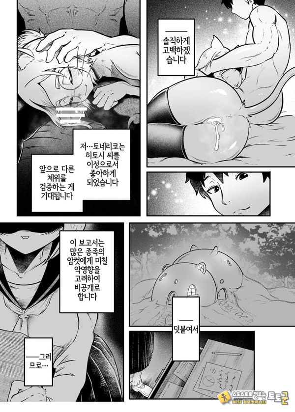 토네리코 보도관의 비밀보고서 토네리코 보도관의 비밀보고서