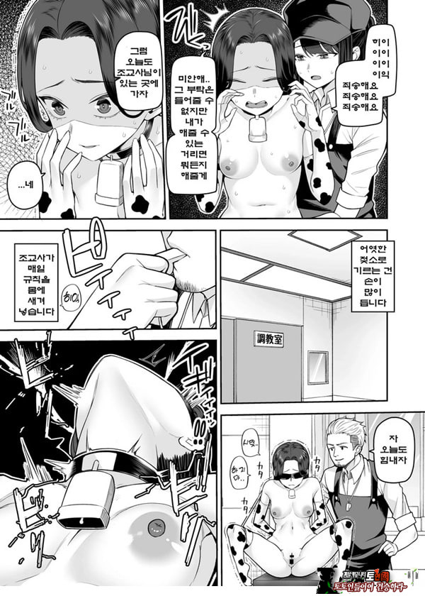 젖소녀 목장