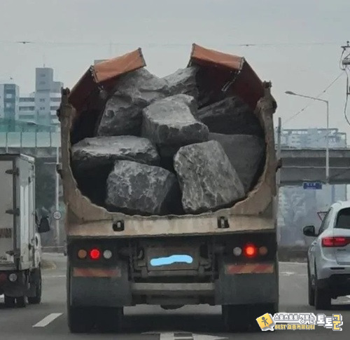 과적 레전드 과적 레전드