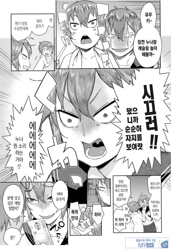 오네쇼타 레이프 ~야수로 변한 누나~