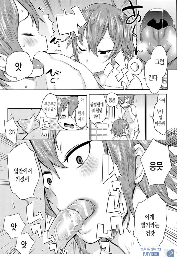 오네쇼타 레이프 ~야수로 변한 누나~