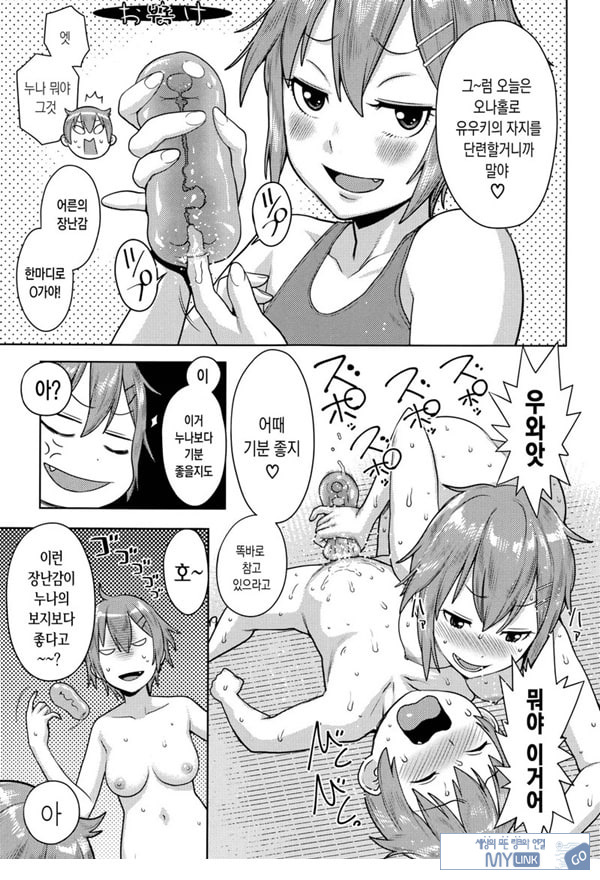 오네쇼타 레이프 ~야수로 변한 누나~