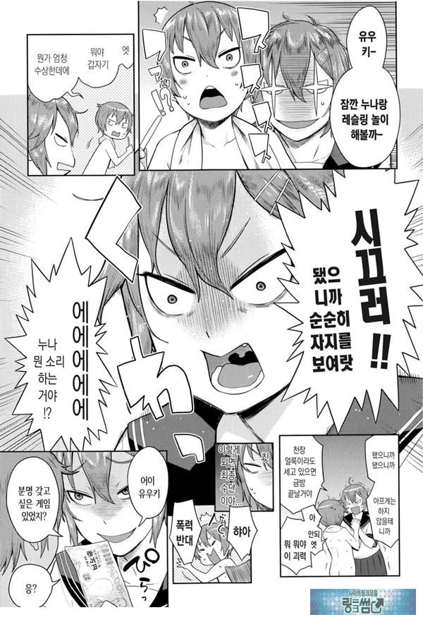 오네쇼타 레이프 ~야수로 변한 누나~