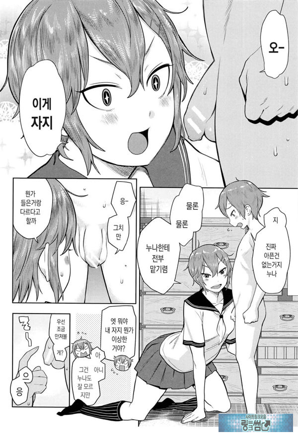 오네쇼타 레이프 ~야수로 변한 누나~