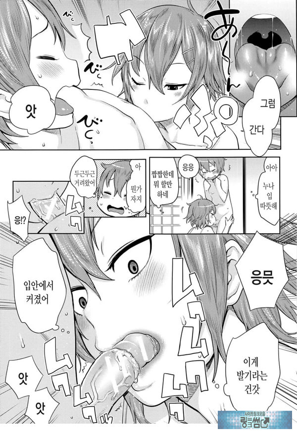 오네쇼타 레이프 ~야수로 변한 누나~