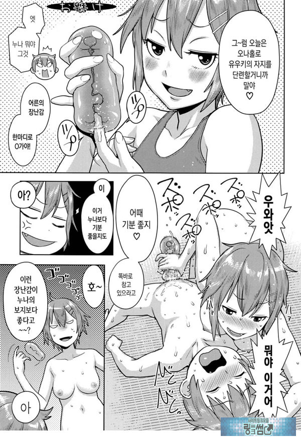 오네쇼타 레이프 ~야수로 변한 누나~