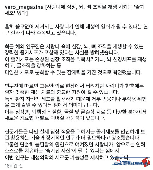 숨겨진 자산