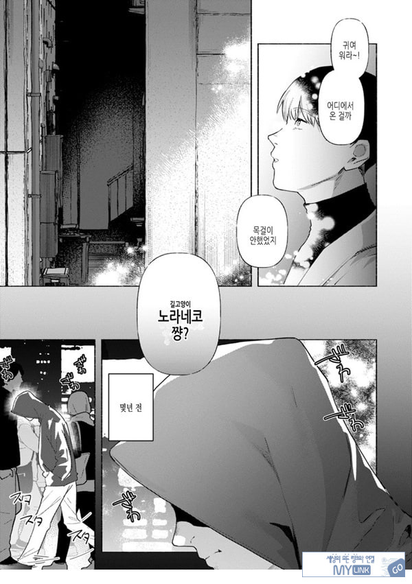 들고양이