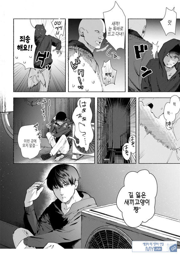 들고양이