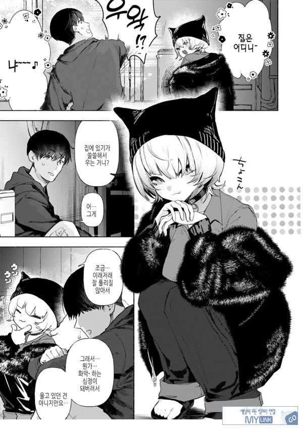 들고양이