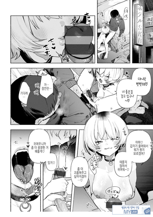 들고양이