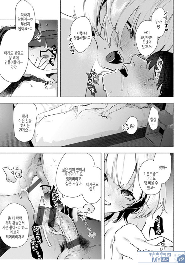 들고양이