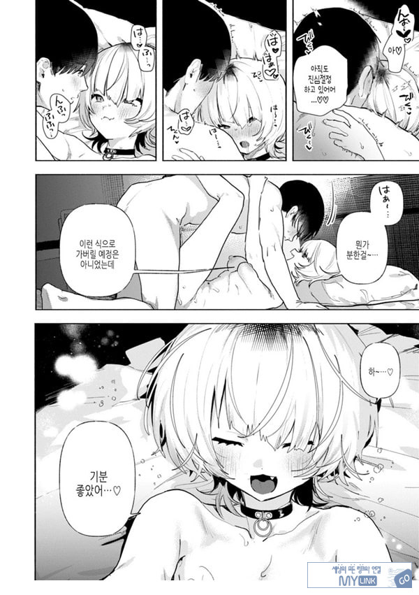 들고양이