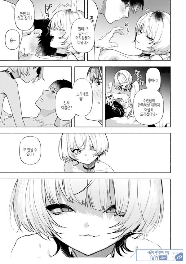들고양이