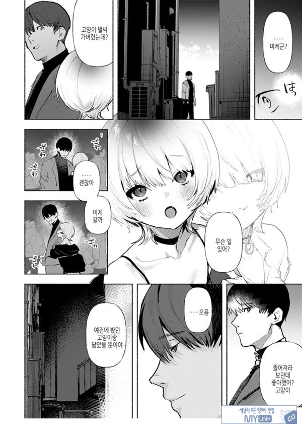 들고양이