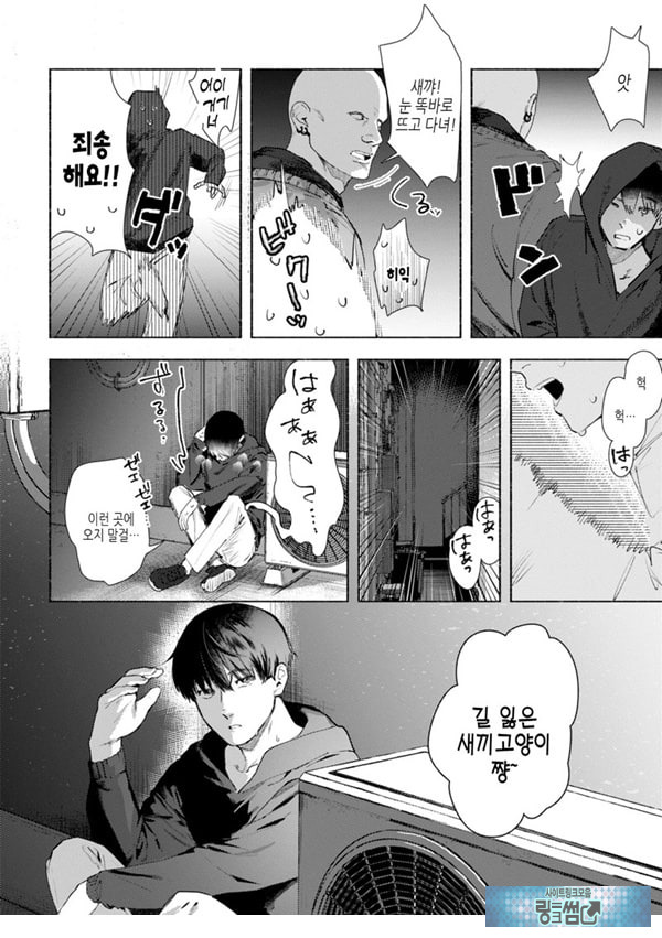 들고양이