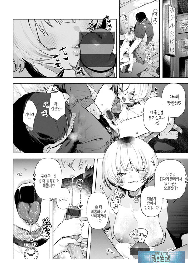 들고양이
