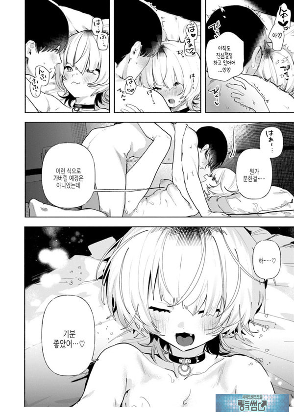 들고양이