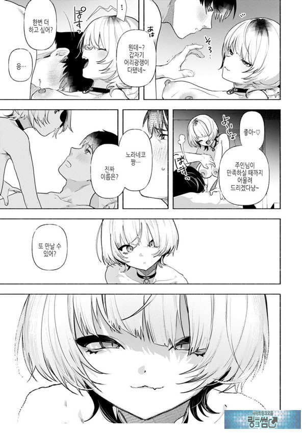 들고양이