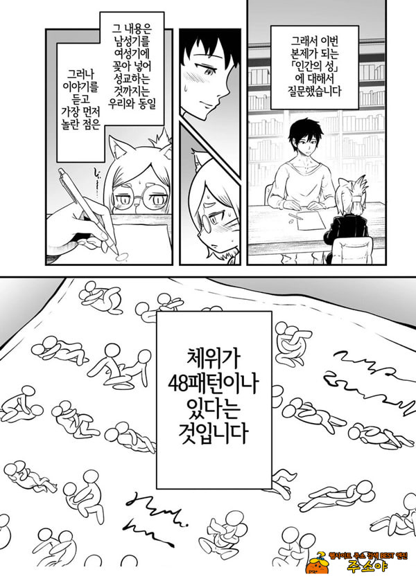 토네리코 보도관의 비밀보고서